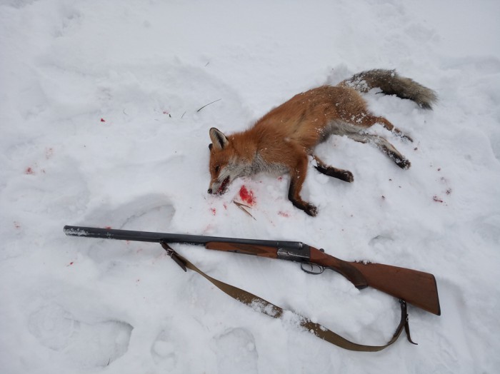 IMG_20190112_152108.jpg (184.94 КБ) Просмотров: 11130 IMG_20190112_152108.jpg