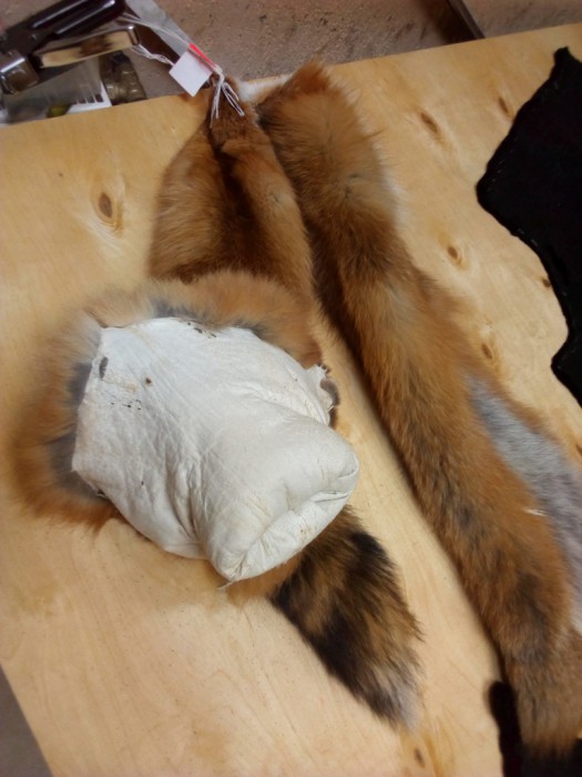 Лиса.jpg (226.38 КБ) Просмотров: 5469 Лиса.jpg