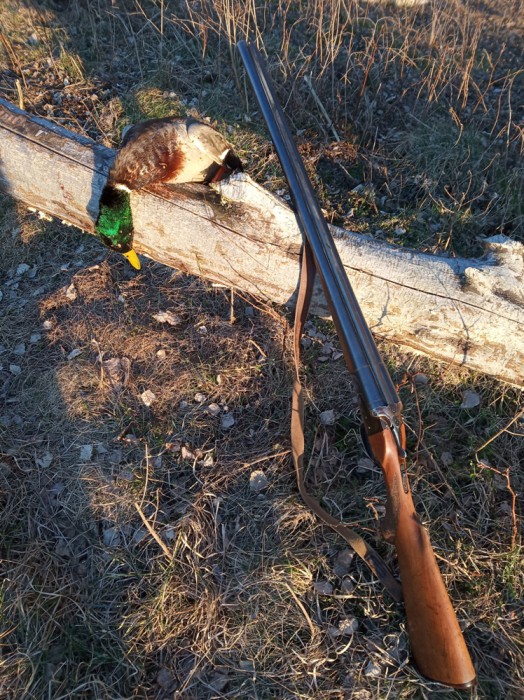 IMG_20190413_192825.jpg (575.88 КБ) Просмотров: 8037 IMG_20190413_192825.jpg