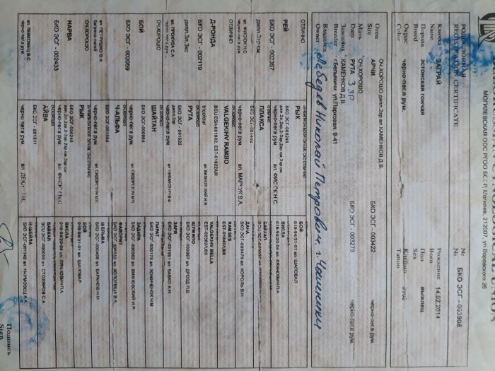 ¦-TЛ¦¦¦¬¦¦TЖ 1-min.jpg (1010.98 КБ) Просмотров: 5232 ¦-TЛ¦¦¦¬¦¦TЖ 1-min.jpg