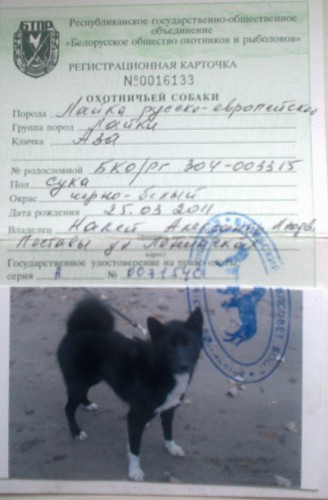 20032013128.jpg (655.75 КБ) Просмотров: 8164 20032013128.jpg