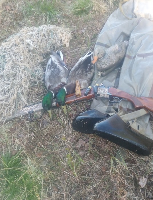 IMG_20210509_082108.jpg (365.63 КБ) Просмотров: 9544 IMG_20210509_082108.jpg