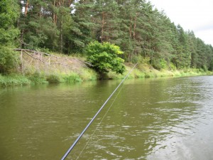 IMG_1578.JPG (917.72 КБ) Просмотров: 7554 IMG_1578.JPG