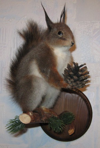 IMG_3068.JPG (596.4 КБ) Просмотров: 11812 IMG_3068.JPG