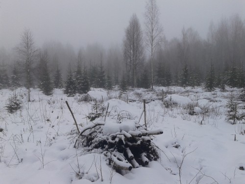 20140107_102705.jpg (2 МБ) Просмотров: 26539 20140107_102705.jpg