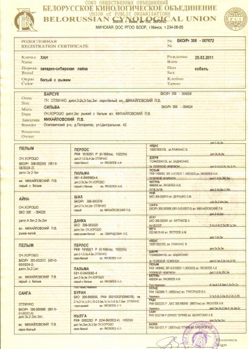 родословная ХАНА.jpg (1.07 МБ) Просмотров: 2486 родословная ХАНА.jpg