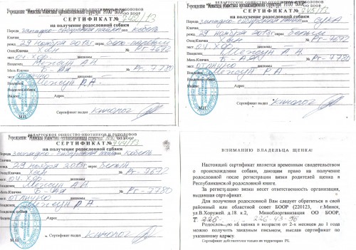сертификаты.jpg (765.28 КБ) Просмотров: 2486 сертификаты.jpg