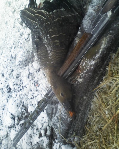 Фото 0791.jpg (332.85 КБ) Просмотров: 7248 Фото 0791.jpg