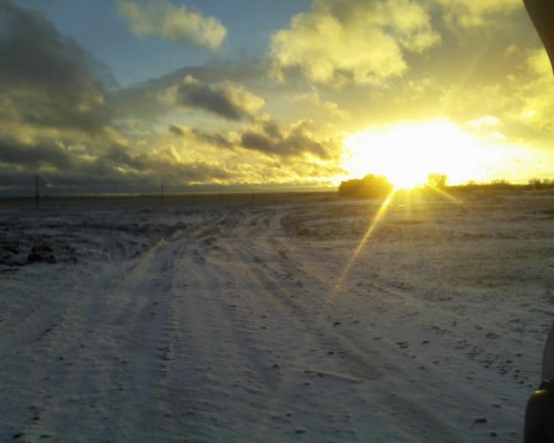 Фото 0792.jpg (187.4 КБ) Просмотров: 6796 Фото 0792.jpg