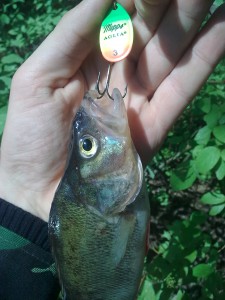 Фото0070.jpg (498.81 КБ) Просмотров: 4619 Фото0070.jpg