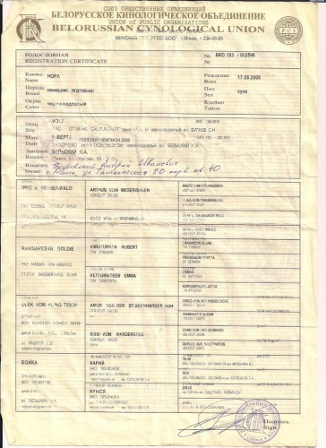 Нора родосл..jpg (152.49 КБ) Просмотров: 1257 Нора родосл..jpg