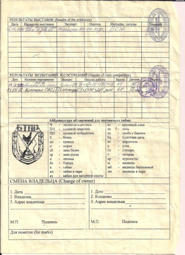 Нора квал..jpg (154.84 КБ) Просмотров: 1257 Нора квал..jpg