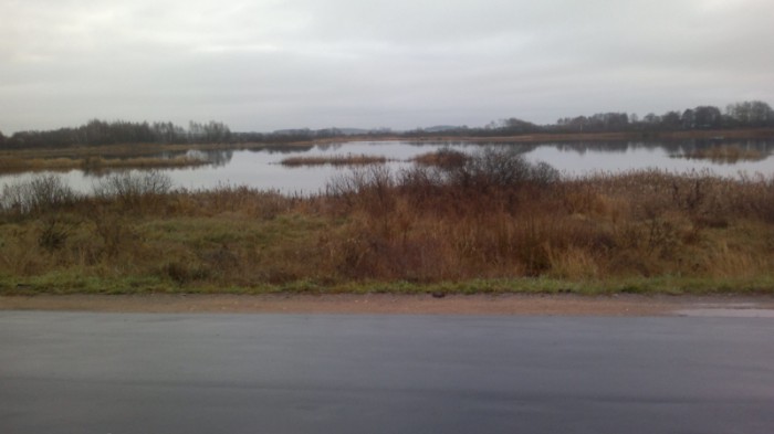 IMG_20151121_195053_800x449.jpg (206.42 КБ) Просмотров: 8941 IMG_20151121_195053_800x449.jpg