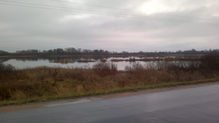 IMG_20151121_195025_800x449.jpg (194.06 КБ) Просмотров: 8941 IMG_20151121_195025_800x449.jpg