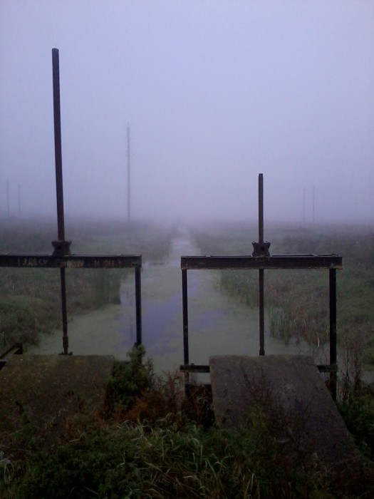 Фото1259.jpg (550.03 КБ) Просмотров: 19208 Фото1259.jpg