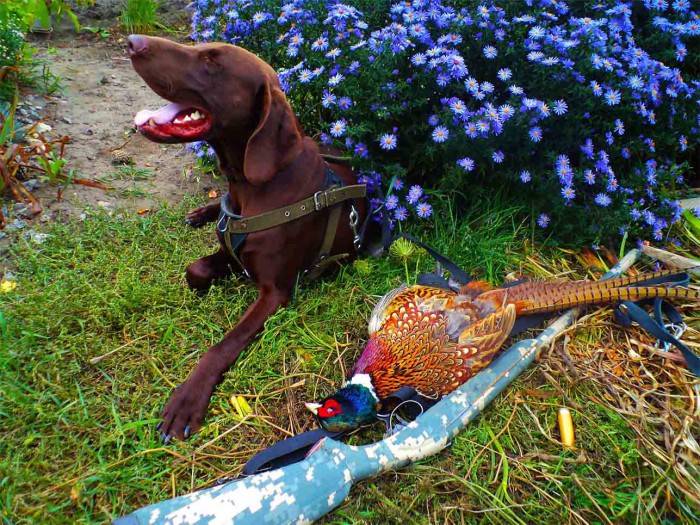 Безимени-3.jpg (200.57 КБ) Просмотров: 15954 Безимени-3.jpg