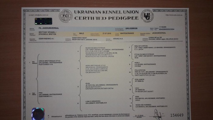 1.jpg (68.3 КБ) Просмотров: 2127 1.jpg