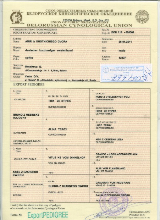 Амир родословная.jpg (1008.58 КБ) Просмотров: 5983 Амир родословная.jpg