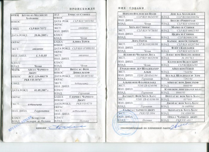 Родка Амир РОРС-2.jpg (196.97 КБ) Просмотров: 5983 Родка Амир РОРС-2.jpg