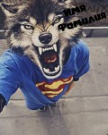 Аватара пользователя