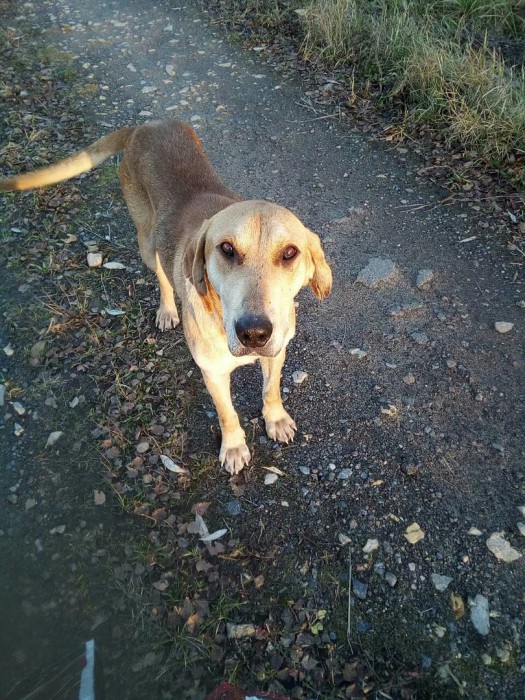 rFRK7gp7Q5E.jpg (553.5 КБ) Просмотров: 40970 rFRK7gp7Q5E.jpg