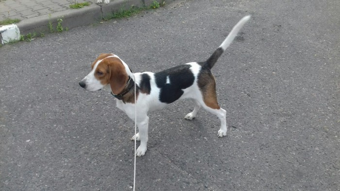 IMG_20181118_212546_762.jpg (199.2 КБ) Просмотров: 1434 IMG_20181118_212546_762.jpg