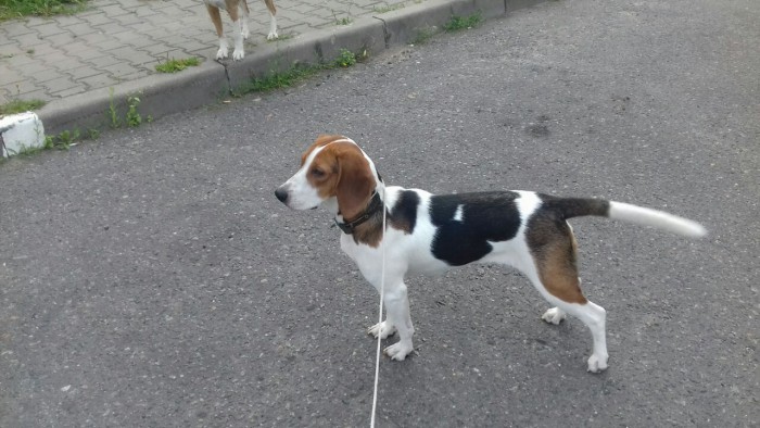 IMG_20181118_212555_494.jpg (185.66 КБ) Просмотров: 1418 IMG_20181118_212555_494.jpg