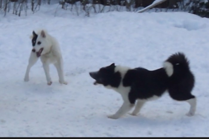 ΠΠ΅Π· ΠΈΠΌΠ΅Π½ΠΈ-2.jpg (492.73 ΠΠ) ΠΡΠΎΡΠΌΠΎΡΡΠΎΠ²: 1568 ΠΠ΅Π· ΠΈΠΌΠ΅Π½ΠΈ-2.jpg