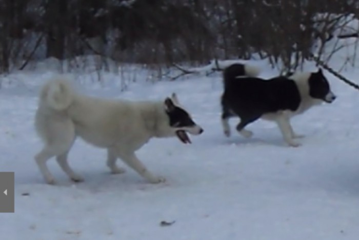 ΠΠ΅Π· ΠΈΠΌΠ΅Π½ΠΈ-4.jpg (450.08 ΠΠ) ΠΡΠΎΡΠΌΠΎΡΡΠΎΠ²: 1568 ΠΠ΅Π· ΠΈΠΌΠ΅Π½ΠΈ-4.jpg