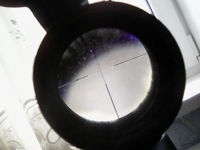 IMG00133.jpg