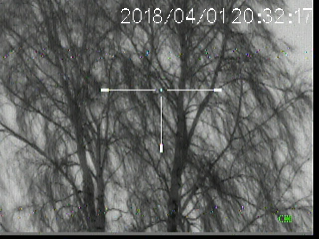 20180401_203216.JPG