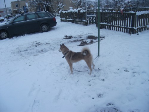 DSCF7616.JPG