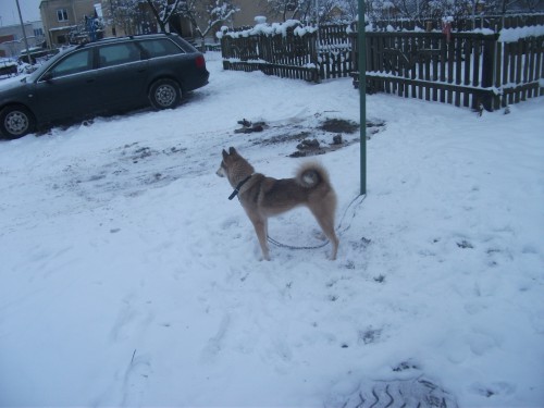 DSCF7617.JPG