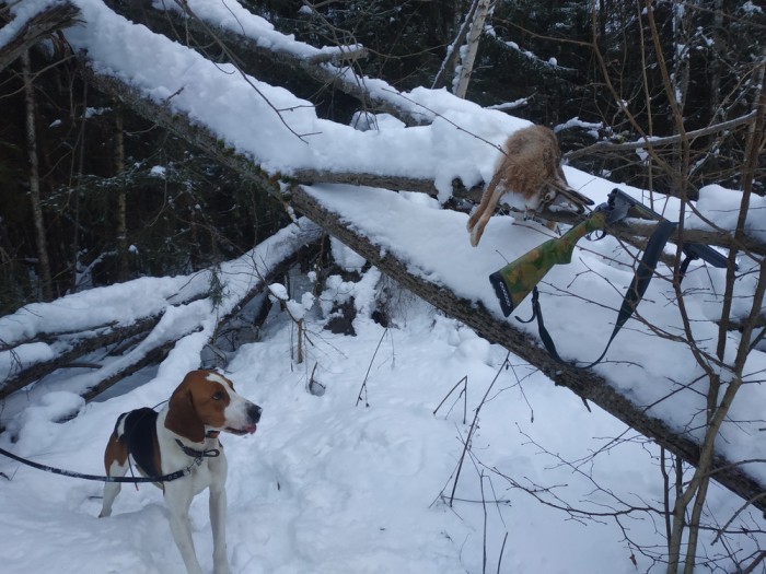 190120193835.jpg (304.94 КБ) Просмотров: 5143 190120193835.jpg