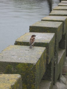 IMG_1982.jpg