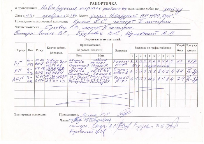 Рапортичка в школе образец