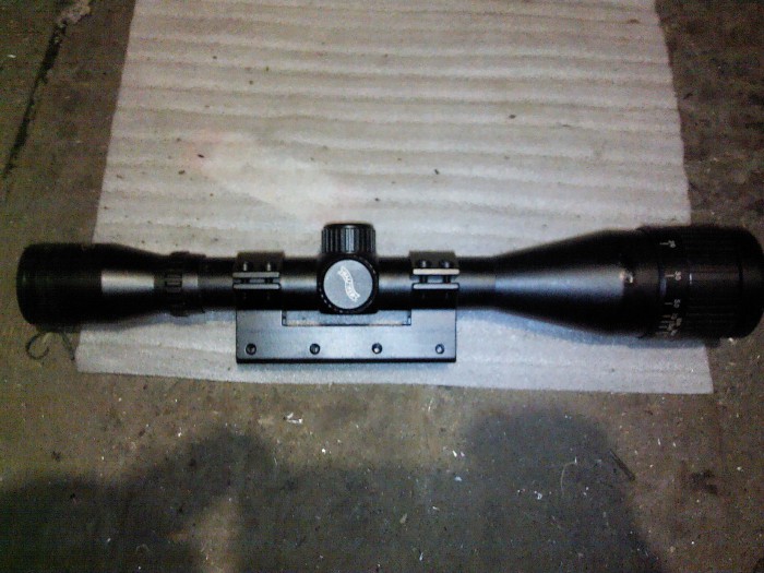 IMG00295.jpg