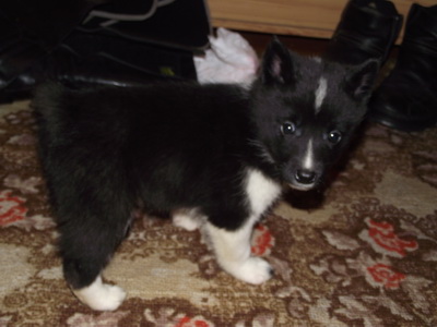 DSCF5715.JPG