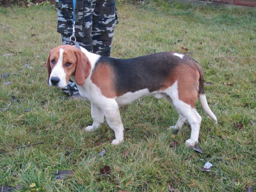 getImage.jpg (120.94 КБ) Просмотров: 1894 getImage.jpg