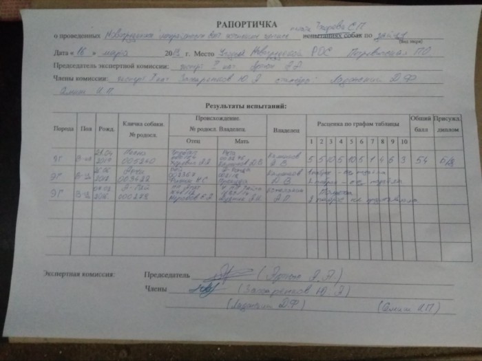 Рапортичка в школе образец