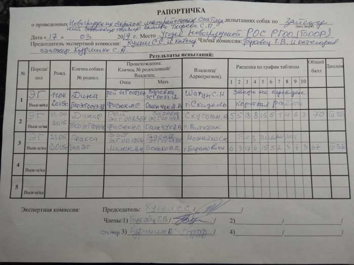Рапортичка в школе образец