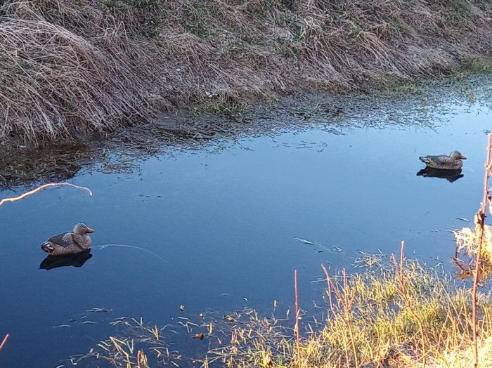 IMG_20190413_193658.jpg (418.53 КБ) Просмотров: 7783 IMG_20190413_193658.jpg