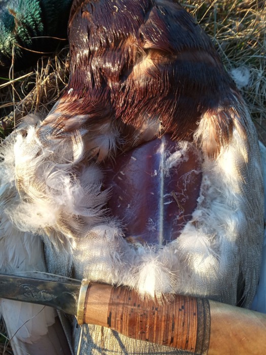 IMG_20190413_193100.jpg (418.26 КБ) Просмотров: 7798 IMG_20190413_193100.jpg