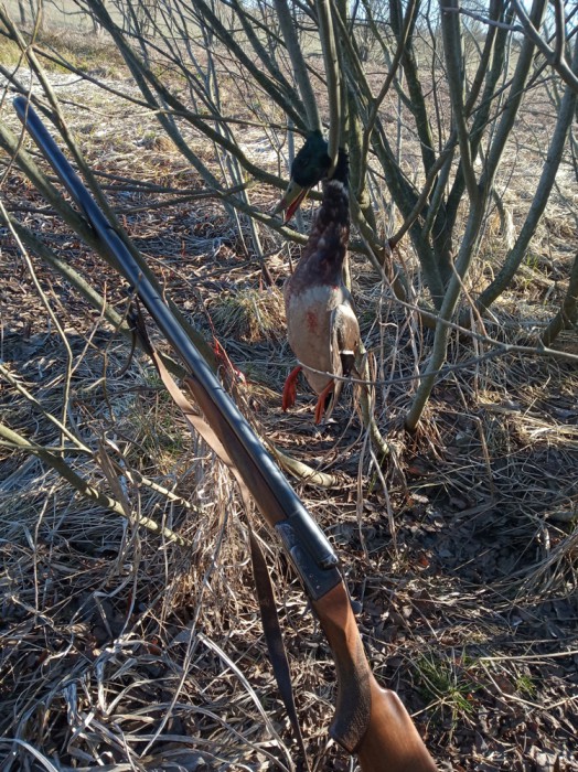 IMG_20190414_083359.jpg (588.67 КБ) Просмотров: 7782 IMG_20190414_083359.jpg