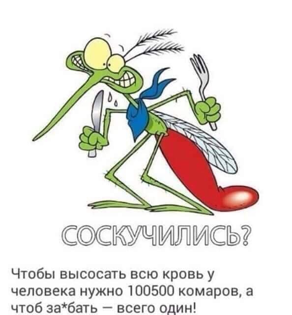 IMG-c171eb5a9dc75ac485126e6507f90c09-V.jpg