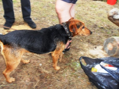 9ZLgV0LntMw.jpg (221.83 КБ) Просмотров: 1585 9ZLgV0LntMw.jpg