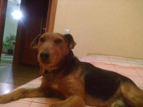 z_6f2e11e9.jpg (109.3 КБ) Просмотров: 1585 z_6f2e11e9.jpg