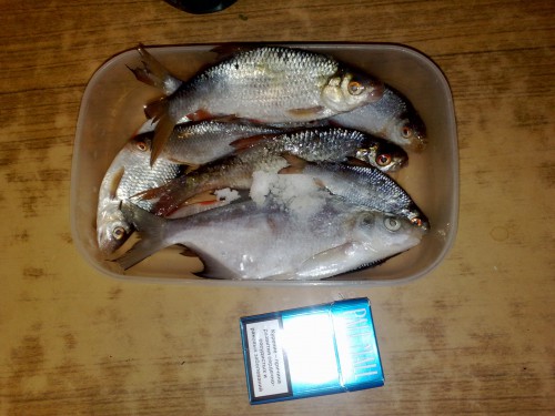 230120131025.jpg