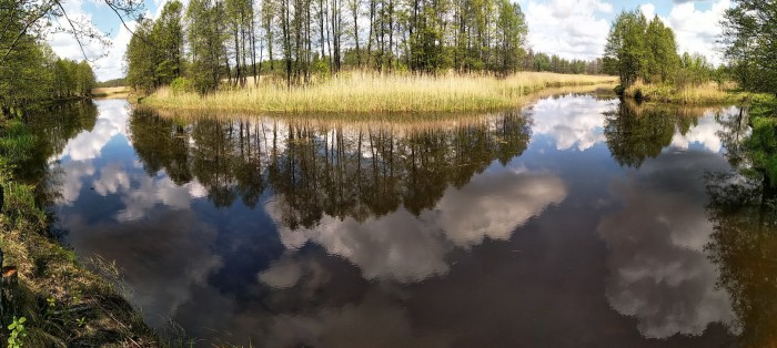 Беседка в а.г. Дричин 12.05.2019 21.jpg