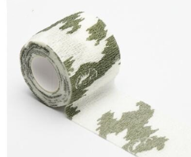 кам лента1.png